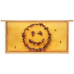 Tavla "Smiley"